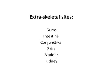Extra-skeletal sites:
Gums
Intestine
Conjunctiva
Skin
Bladder
Kidney
 