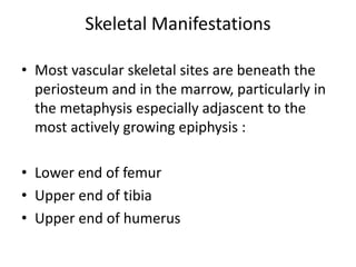 Skeletal Manifestations
• Most vascular skeletal sites are beneath the
periosteum and in the marrow, particularly in
the metaphysis especially adjascent to the
most actively growing epiphysis :
• Lower end of femur
• Upper end of tibia
• Upper end of humerus
 