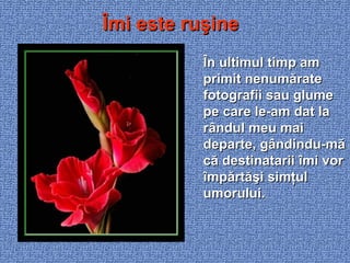 Îmi este ruşine În ultimul timp am primit nenumărate fotografii sau glume pe care le-am dat la rândul meu mai departe, gândindu-mă că destinatarii îmi vor împărtăşi simţul umorului. 