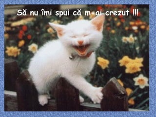 Să nu îmi spui că m-ai crezut !!! 