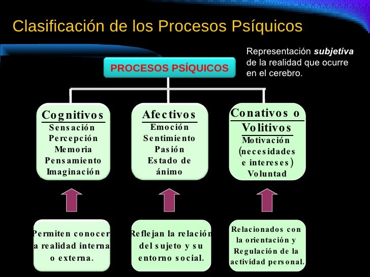 Resultado de imagen para proceso psiqui