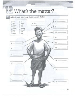 Interchange intro wb amarelo