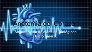 Anatomia del Corazon
Segundo año de ciencias Biológicas.
Ciclo básico.
 