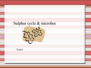 Sulphur cycle & microbes b.stev 