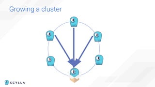 Growing a cluster
 