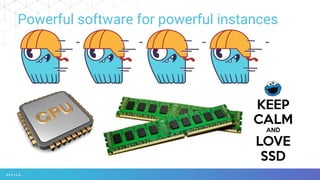Powerful software for powerful instances
 