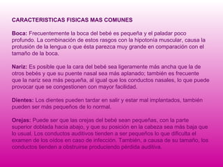 CARACTERISTICAS FISICAS MAS COMUNES Boca:  Frecuentemente la boca del bebé es pequeña y el paladar poco profundo. La combinación de estos rasgos con la hipotonía muscular, causa la protusión de la lengua o que ésta parezca muy grande en comparación con el tamaño de la boca. Nariz:  Es posible que la cara del bebé sea ligeramente más ancha que la de otros bebés y que su puente nasal sea más aplanado; también es frecuente que la nariz sea más pequeña, al igual que los conductos nasales, lo que puede provocar que se congestionen con mayor facilidad. Dientes:  Los dientes pueden tardar en salir y estar mal implantados, también pueden ser más pequeños de lo normal. Orejas:  Puede ser que las orejas del bebé sean pequeñas, con la parte superior doblada hacia abajo, y que su posición en la cabeza sea más baja que lo usual. Los conductos auditivos tienden a ser pequeños lo que dificulta el examen de los oídos en caso de infección. También, a causa de su tamaño, los conductos tienden a obstruirse produciendo pérdida auditiva. 