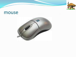 mouse