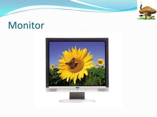 Monitor