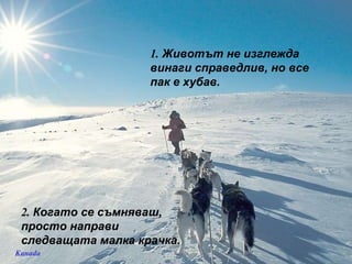 Kanada 1.  Животът не изглежда винаги справедлив, но все пак е хубав. 2.  Когато се съмняваш, просто направи следващата малка крачка. 