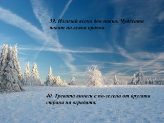 39.  Излизай всеки ден навън. Чудесата чакат на всяка крачка. 40.  Тревата винаги е по-зелена от другата страна на оградата. 