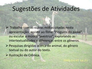 Sugestões de Atividades
 Trabalho com as outras mídias citadas nesta
apresentação: assistir ao filme “Pinguins do papai”,
ou escutar a música “avestruz”, explorando as
intertextualidades e diferenças entre os gêneros.
 Pesquisas dirigidas acerca do animal, do gênero
textual ou do autor do texto.
 Ilustração da Crônica.
 