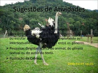 Sugestões de Atividades
 Trabalho com as outras mídias citadas nesta
apresentação: assistir ao filme “Pinguins do papai”,
ou escutar a música “avestruz”, explorando as
intertextualidades e diferenças entre os gêneros.
 Pesquisas dirigidas acerca do animal, do gênero
textual ou do autor do texto.
 Ilustração da Crônica.
 