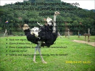 Ativação de conhecimento de mundo,
antecipação ou predição e checagem de
hipóteses
Antes de realizar a leitura do texto com os
alunos, devemos ativar o conhecimento prévio dos
mesmos, através dos seguintes questionamentos:
 Você tem algum animal de estimação?
 Quem já ouviu falar ou já viu uma avestruz?
 Como é esse animal, quais são as suas características?
 O que ele come?
 Você já teve alguma vontade absurda, fora do normal?
 
