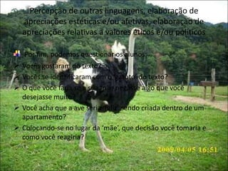 Percepção de outras linguagens, elaboração de
apreciações estéticas e/ou afetivas, elaboração de
apreciações relativas a valores éticos e/ou políticos
Por fim, podemos questionar os alunos:
 Vocês gostaram do texto?
 Vocês se identificaram com o ‘garoto’ do texto?
 O que você faria se a sua mãe negasse algo que você
desejasse muito?
 Você acha que a ave seria ‘feliz’ sendo criada dentro de um
apartamento?
 Colocando-se no lugar da ‘mãe’, que decisão você tomaria e
como você reagiria?
 