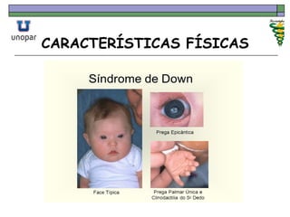 CARACTERÍSTICAS FÍSICAS
 