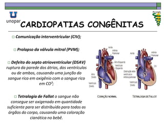 CARDIOPATIAS CONGÊNITAS
 Comunicação interventricular (CIV);
 Prolapso da válvula mitral (PVM);
 Defeito do septo atrioventricular (DSAV)
ruptura da parede dos átrios, dos ventrículos
ou de ambos, causando uma junção do
sangue rico em oxigênio com o sangue rico
em CO²;
 Tetralogia de Fallot o sangue não
consegue ser oxigenado em quantidade
suficiente para ser distribuído para todos os
órgãos do corpo, causando uma coloração
cianótica no bebê.
 