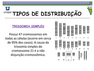 TIPOS DE DISTRIBUIÇÃO
TRISSOMIA SIMPLES
Possui 47 cromossomos em
todas as células (ocorre em cerca
de 95% dos casos). A causa da
trissomia simples do
cromossomo 21 é a não
disjunção cromossômica.
 