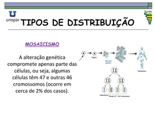 TIPOS DE DISTRIBUIÇÃO
MOSAICISMO
A alteração genética
compromete apenas parte das
células, ou seja, algumas
células têm 47 e outras 46
cromossomos (ocorre em
cerca de 2% dos casos).
 