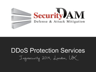DDoS Protection Services
 