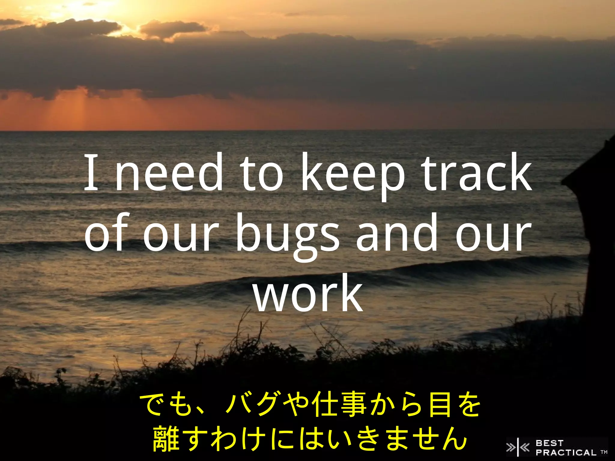 I need to keep track
of our bugs and our
        work

  でも、バグや仕事から目を
   離すわけにはいきません
 
