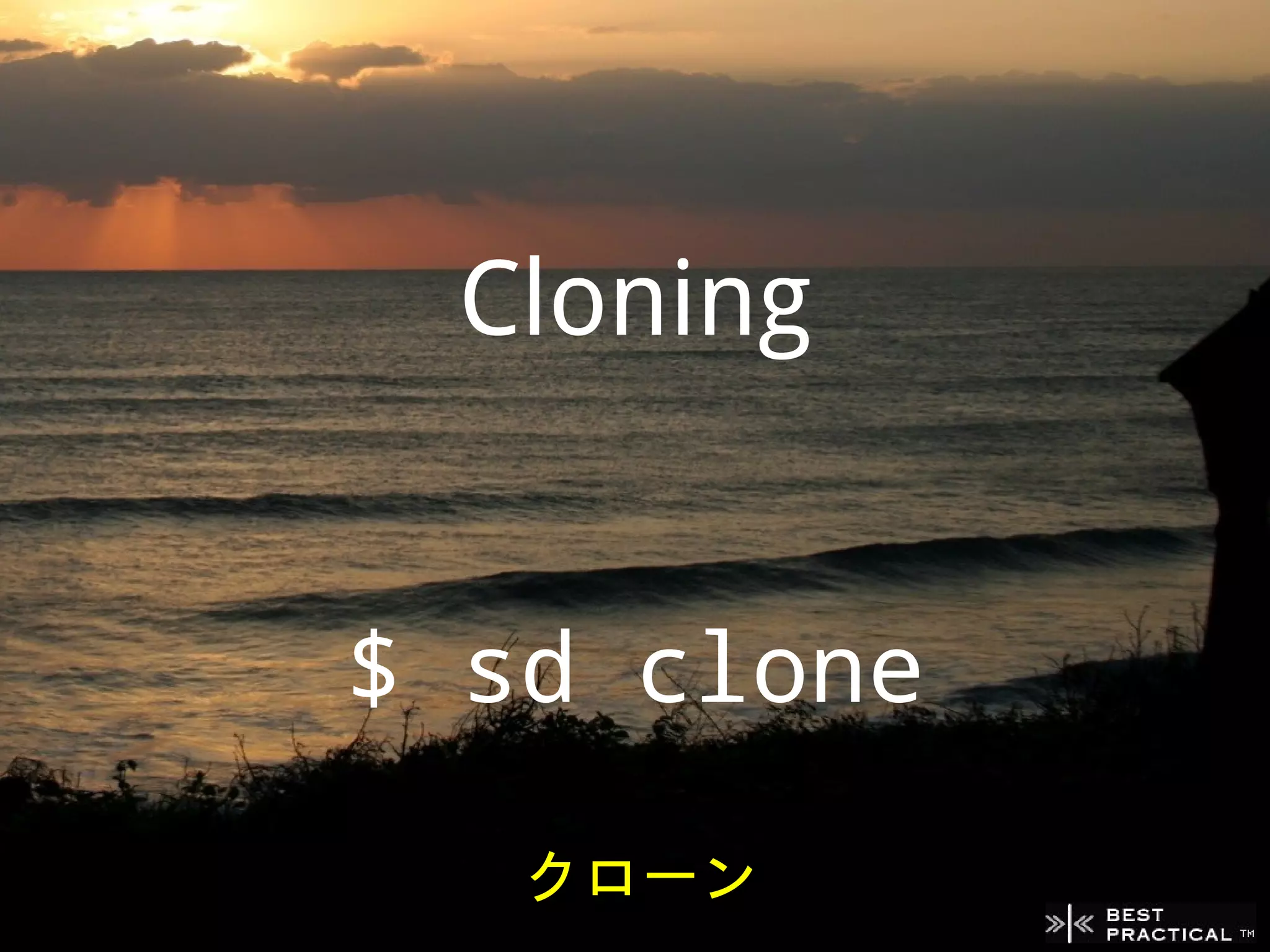 Cloning


$ sd clone
   クローン
 