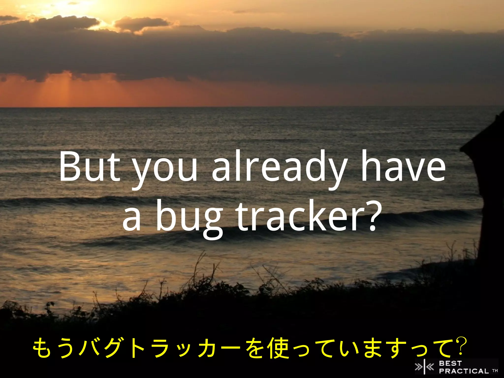 But you already have
    a bug tracker?


もうバグトラッカーを使っていますって？
 