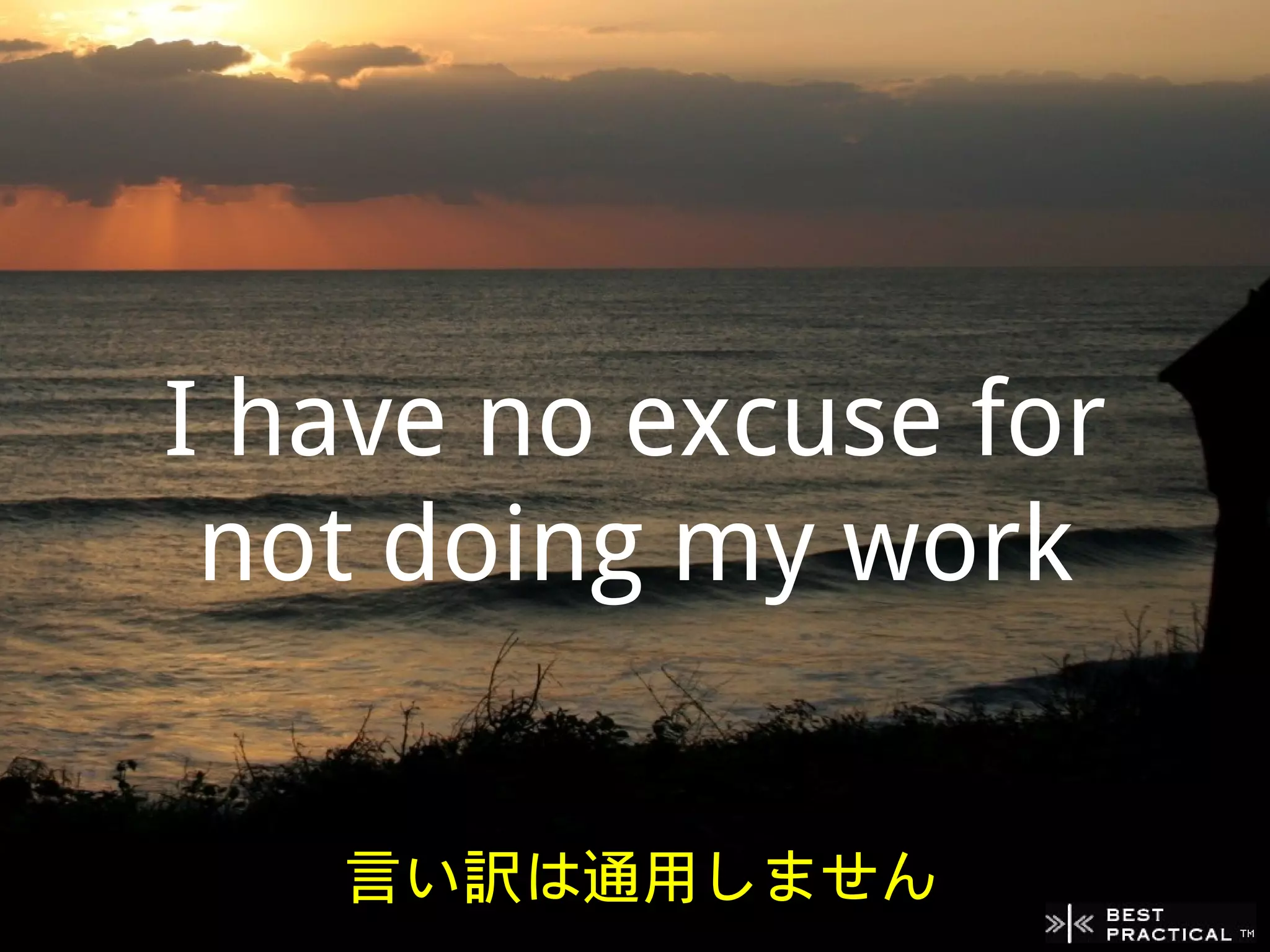 I have no excuse for
 not doing my work


   言い訳は通用しません
 