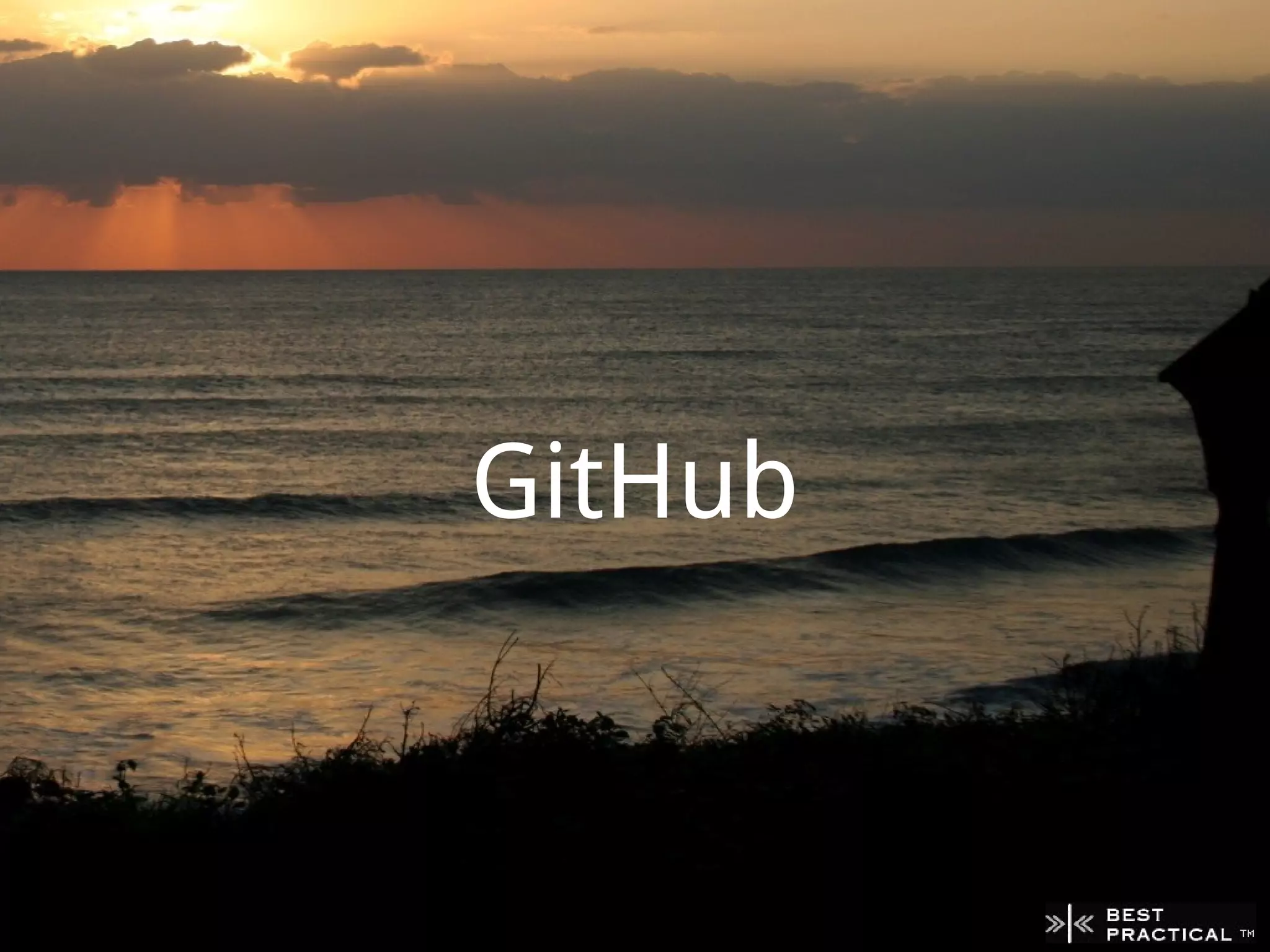 GitHub
 