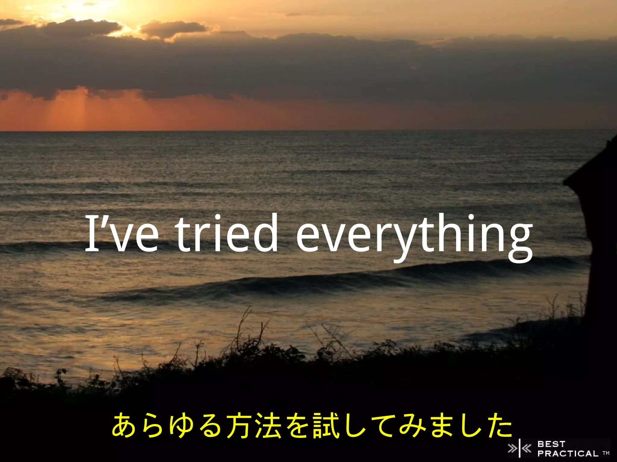 I’ve tried everything


 あらゆる方法を試してみました
 