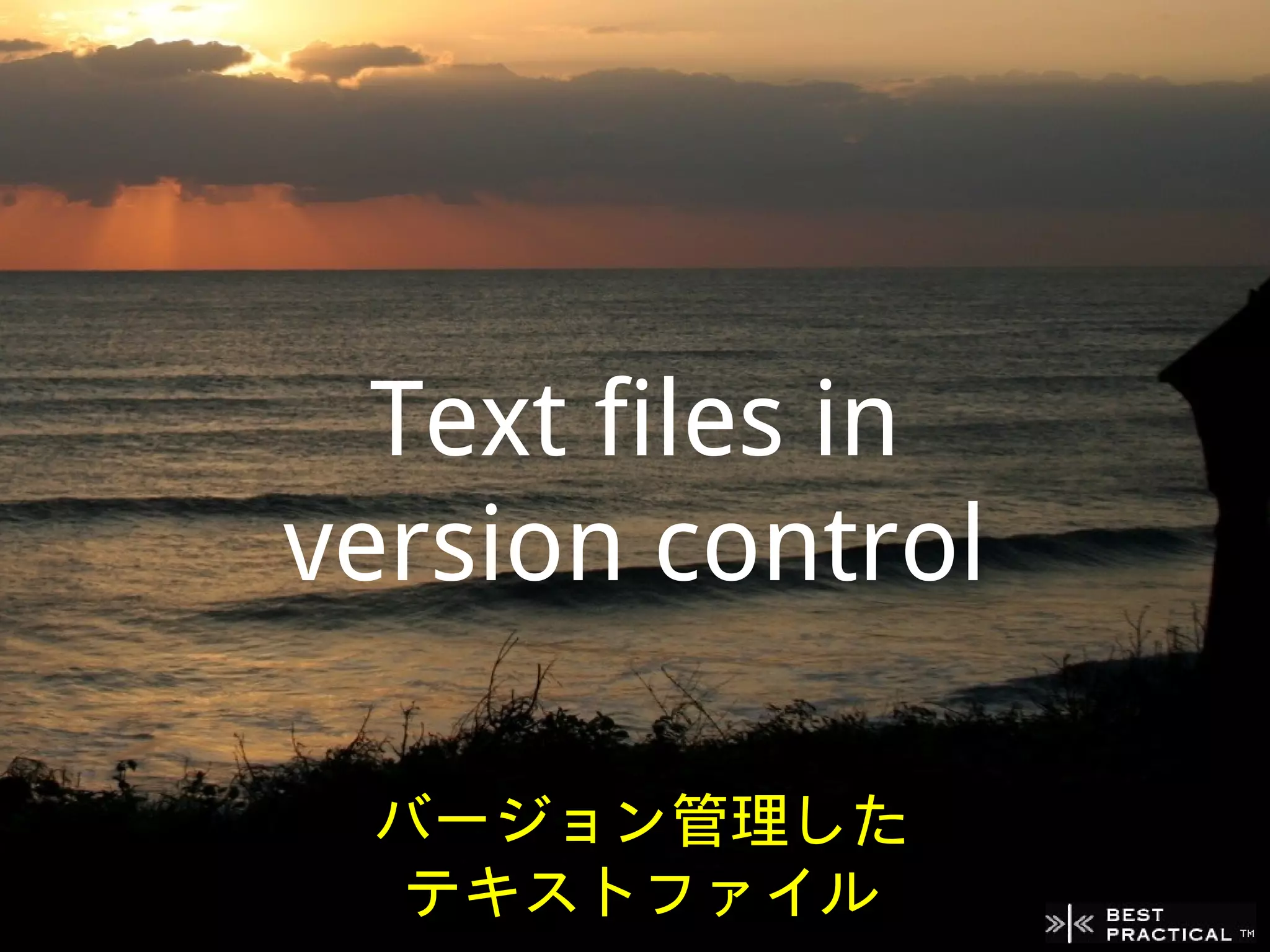 Text files in
version control

 バージョン管理した
  テキストファイル
 