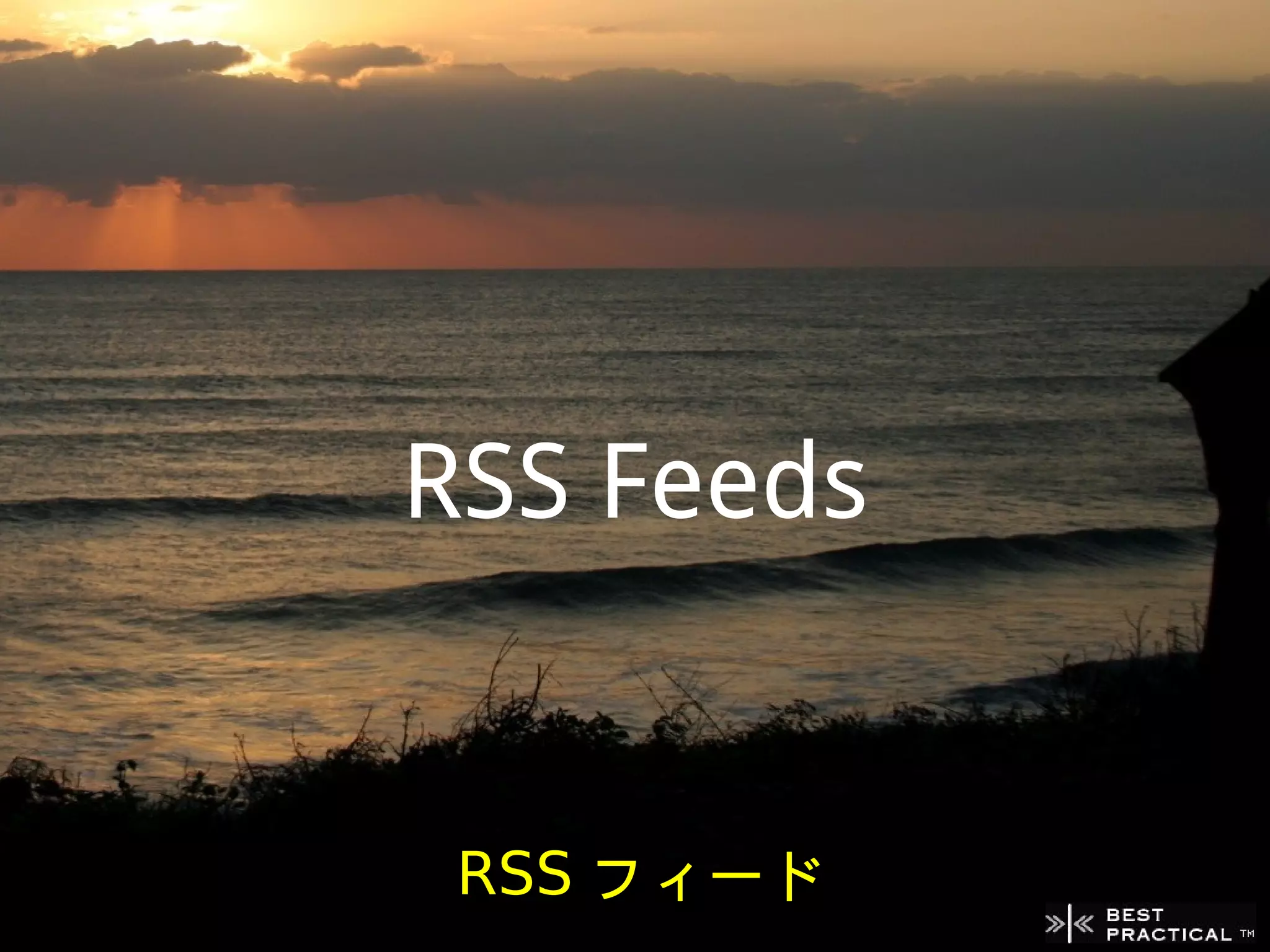RSS Feeds


 RSS フィード
 