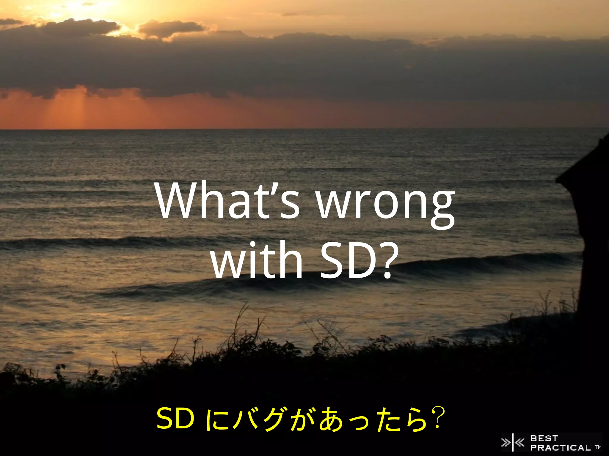 What’s wrong
 with SD?


SD にバグがあったら？
 