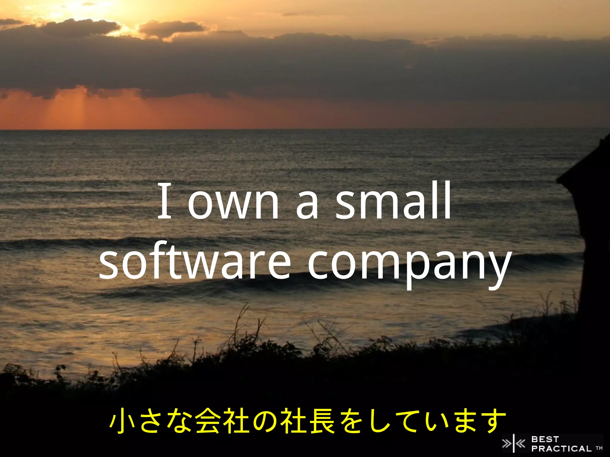 I own a small
software company


小さな会社の社長をしています
 