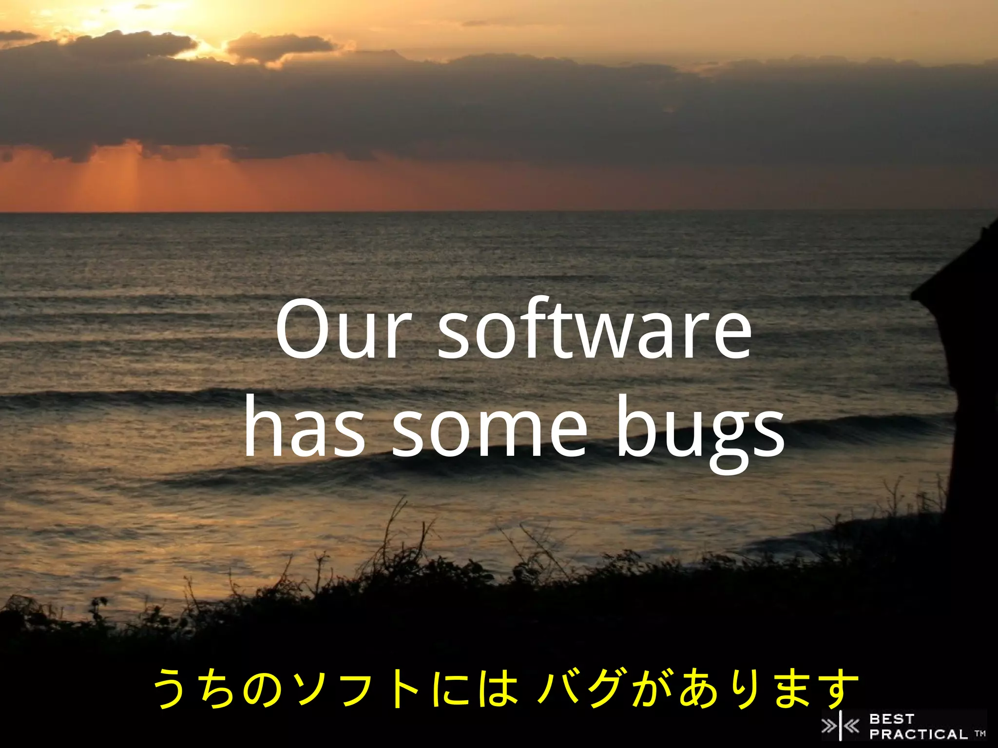 Our software
  has some bugs


うちのソフトには バグがあります
 