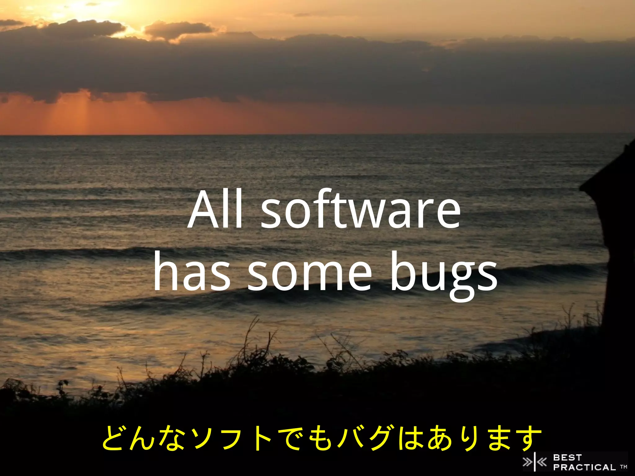 All software
 has some bugs


どんなソフトでもバグはあります
 