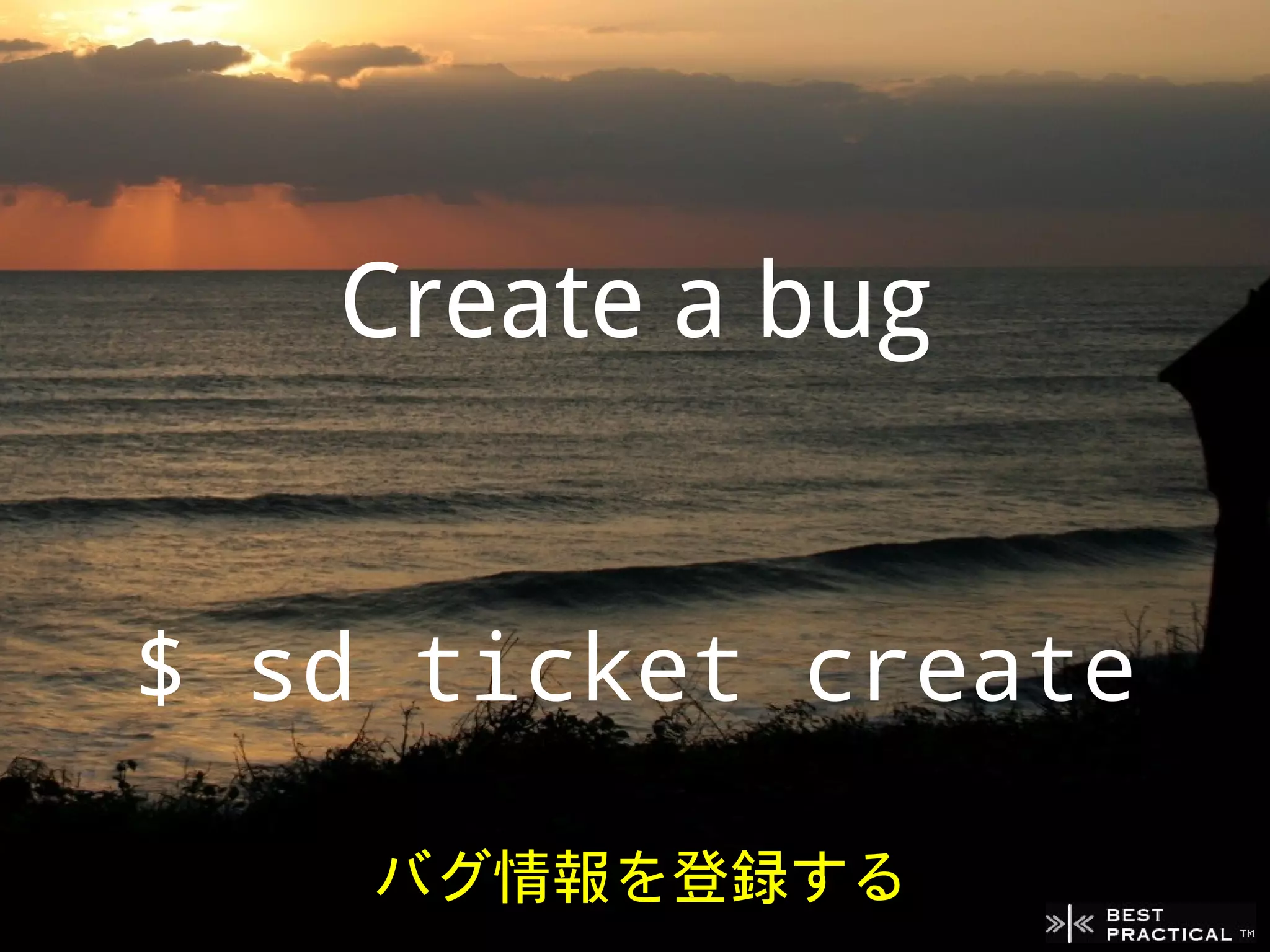 Create a bug


$ sd ticket create

    バグ情報を登録する
 