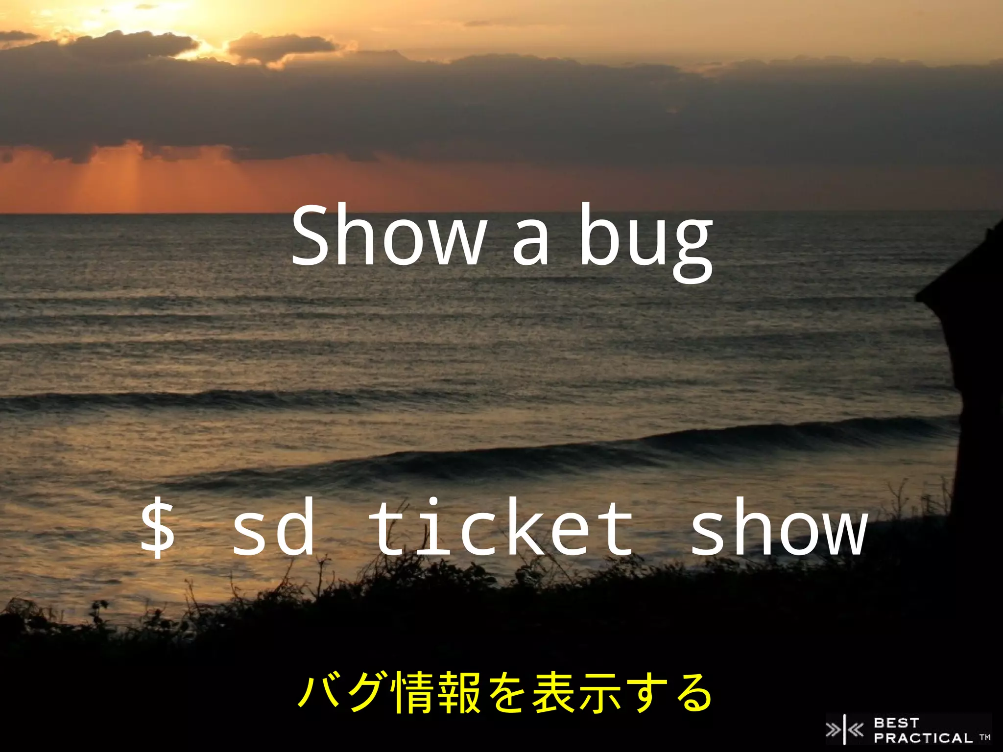 Show a bug


$ sd ticket show
   バグ情報を表示する
 