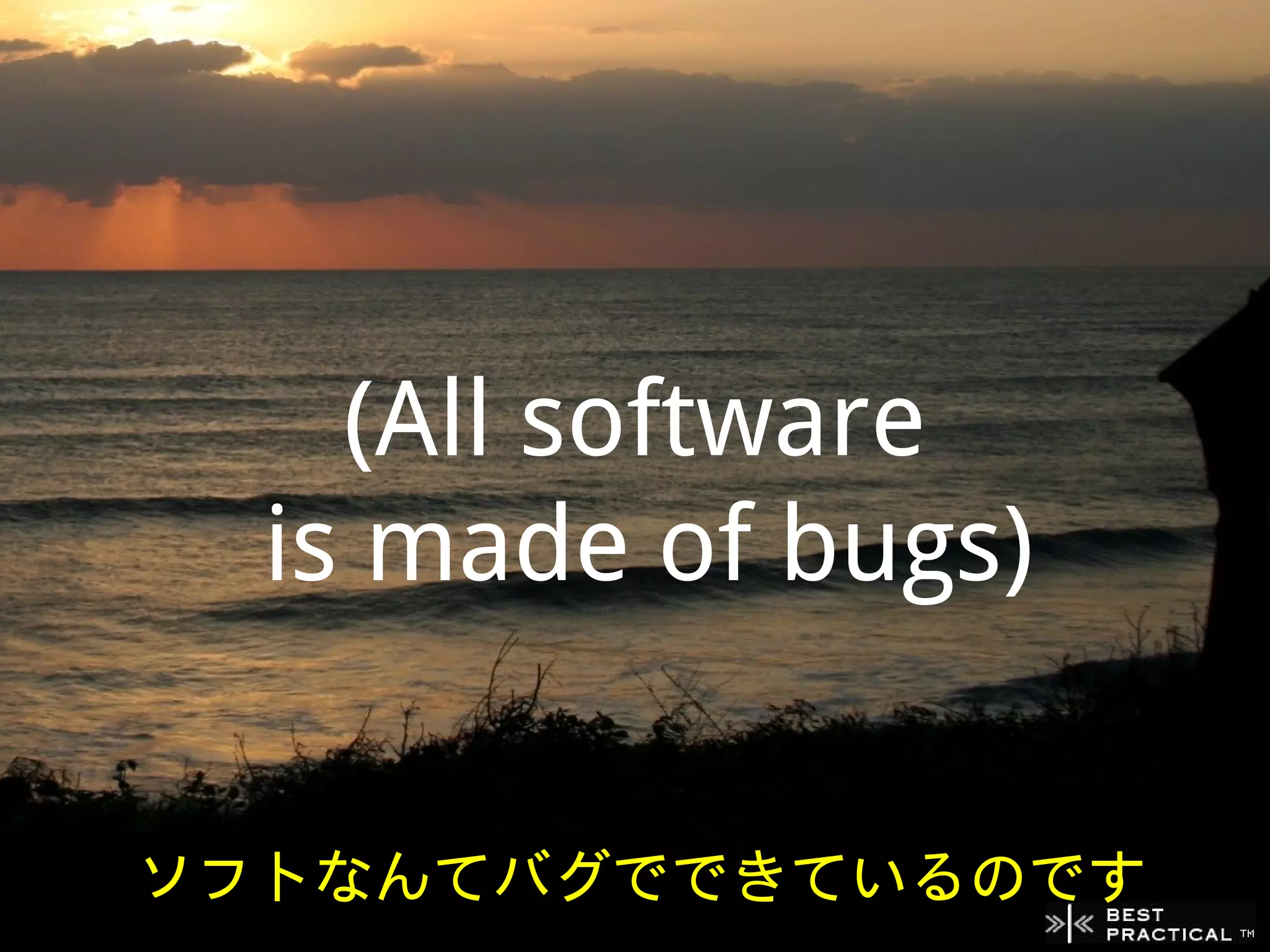 (All software
  is made of bugs)


ソフトなんてバグでできているのです
 