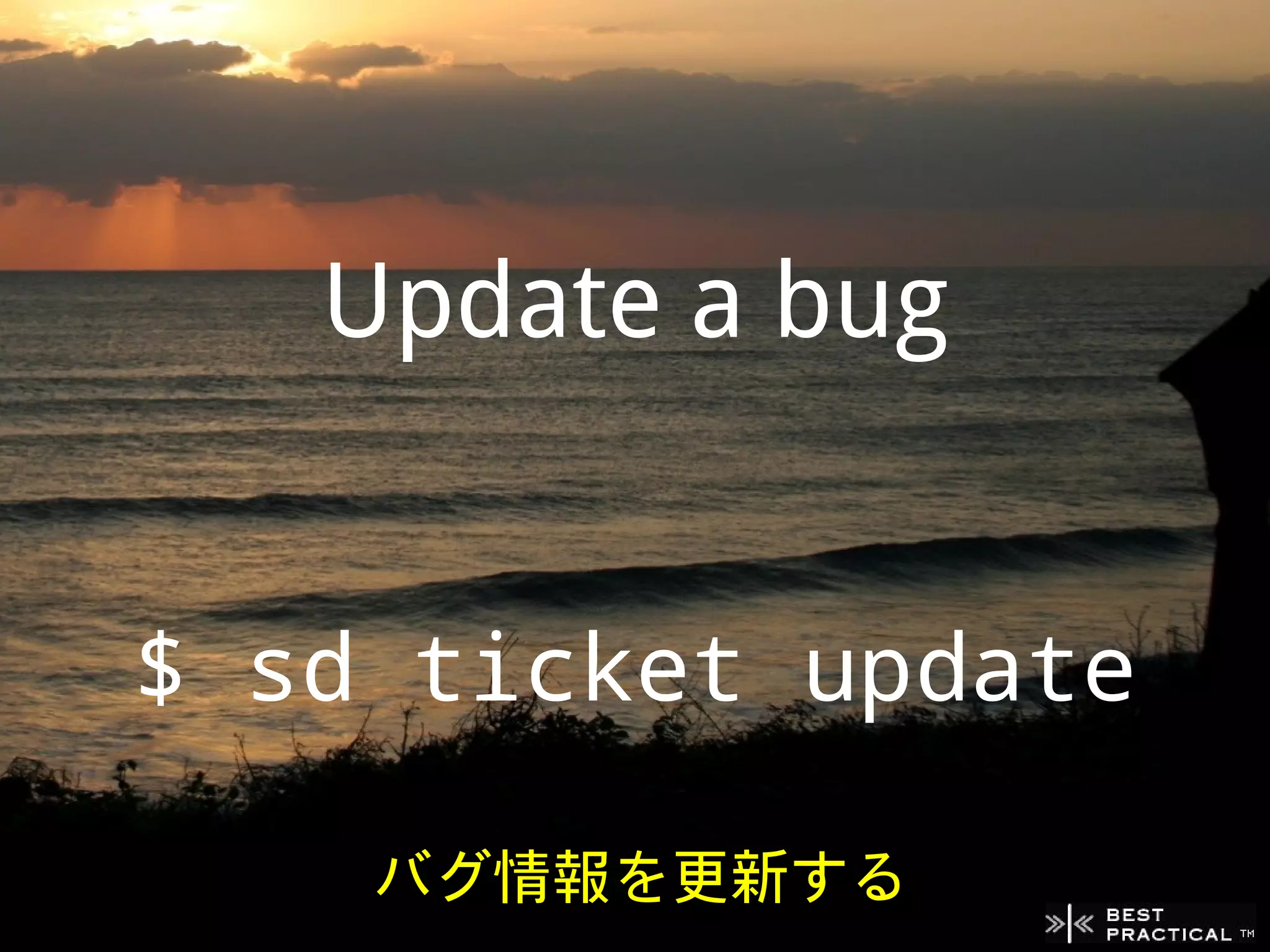Update a bug


$ sd ticket update

    バグ情報を更新する
 