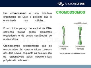 Um cromossomo é uma estrutura
organizada de DNA e proteína que é
encontrada nas células.
É um único pedaço de espiral de DNA
contendo muitos genes, elementos
reguladores e de outras seqüências de
nucleotídeos.
Cromossomos autossômicos: são os
relacionados às características comuns
aos dois sexos, enquanto os sexuais são
os responsáveis pelas características
próprias de cada sexo.
CROMOSSOMOS
http://www.coladaweb.comhttp://www.coladaweb.com
 