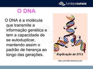 O DNA
O DNA é a molécula
que transmite a
informação genética e
tem a capacidade de
se autoduplicar,
mantendo assim o
padrão de herança ao
longo das gerações.
http://dc396.4shared.comhttp://dc396.4shared.com
 