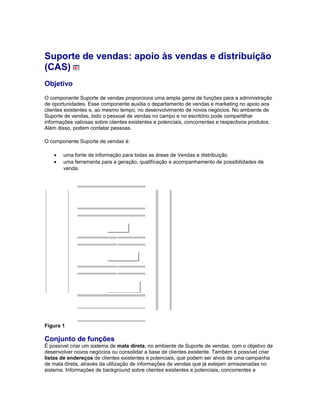 Suporte de vendas: apoio às vendas e distribuição
(CAS)
Objetivo
O componente Suporte de vendas proporciona uma ampla gama de funções para a administração
de oportunidades. Esse componente auxilia o departamento de vendas e marketing no apoio aos
clientes existentes e, ao mesmo tempo, no desenvolvimento de novos negócios. No ambiente de
Suporte de vendas, todo o pessoal de vendas no campo e no escritório pode compartilhar
informações valiosas sobre clientes existentes e potenciais, concorrentes e respectivos produtos.
Além disso, podem contatar pessoas.
O componente Suporte de vendas é:
• uma fonte de informação para todas as áreas de Vendas e distribuição
• uma ferramenta para a geração, qualificação e acompanhamento de possibilidades de
venda.
Figura 1
Conjunto de funções
É possível criar um sistema de mala direta, no ambiente de Suporte de vendas, com o objetivo de
desenvolver novos negócios ou consolidar a base de clientes existente. Também é possível criar
listas de endereços de clientes existentes e potenciais, que podem ser alvos de uma campanha
de mala direta, através da utilização de informações de vendas que já estejam armazenadas no
sistema. Informações de background sobre clientes existentes e potenciais, concorrentes e
 