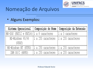 Nomeação de Arquivos
• Alguns Exemplos:
Professor Eduardo Xavier
 