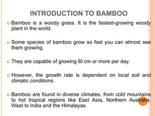INTRODUCTION TO BAMBOO


Bamboo is a woody grass. It is the fastest-growing woody
plant in the world.



Some species of bamboo grow so fast you can almost see
them growing.



They are capable of growing 60 cm or more per day.



However, the growth rate is dependent on local soil and
climatic conditions.



Bamboo are found in diverse climates, from cold mountains
to hot tropical regions like East Asia, Northern Australia,
West to India and the Himalayas.

 