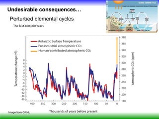 Image from Australian Government Bureau of Meteorology


Undesirable consequences…
 Perturbed elemental cycles




Image from ORNL
 
