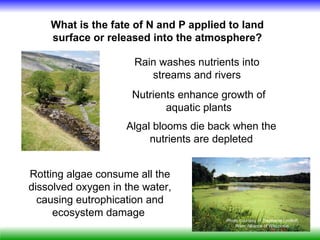 What is the fate of N and P applied to land
    surface or released into the atmosphere?

                      Rain washes nutrients into
                         streams and rivers
                     Nutrients enhance growth of
                            aquatic plants
                    Algal blooms die back when the
                         nutrients are depleted


Rotting algae consume all the
dissolved oxygen in the water,
  causing eutrophication and
     ecosystem damage
                                         Photo courtesy of Stephanie Lindloff,
                                             River Alliance of Wisconsin.
 