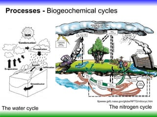 Processes - Biogeochemical cycles




                            ltpwww.gsfc.nasa.gov/globe/NFTG/nitrocyc.htm

The water cycle                      The nitrogen cycle
 