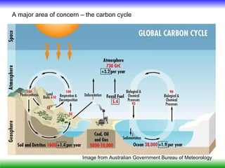 A major area of concern – the carbon cycle




                        Image from Australian Government Bureau of Meteorology
 