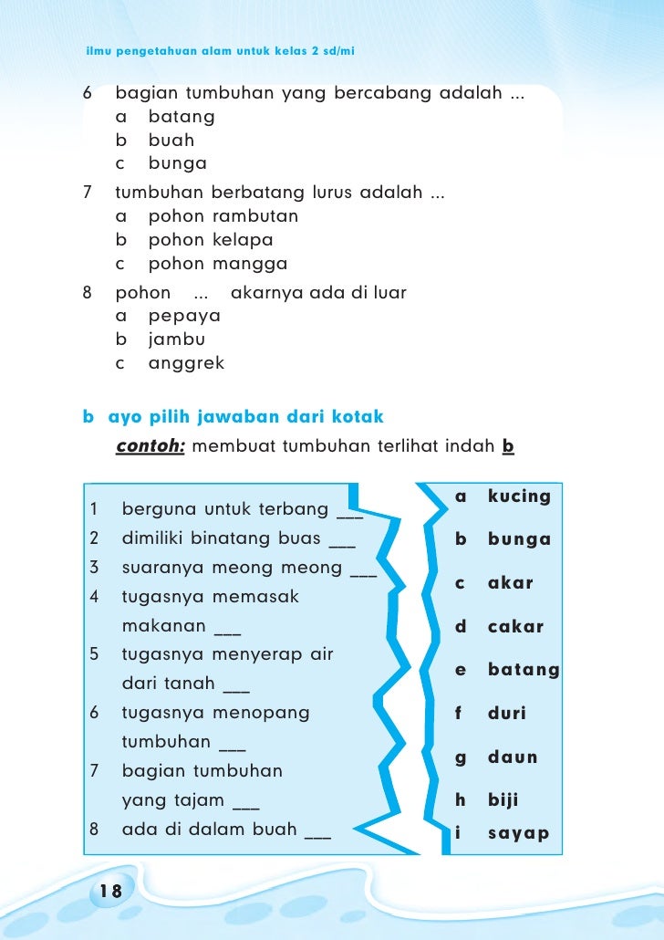 Sd2ipa ipa sri purwati